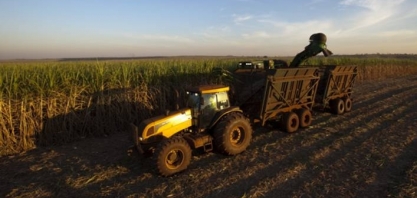 Até o momento, safra 2019/20 apresenta maior produtividade e menor qualidade da matéria-prima