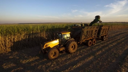 Até o momento, safra 2019/20 apresenta maior produtividade e menor qualidade da matéria-prima