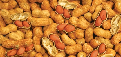 Jaboticabal avança nos preparativos da Feira Nacional do Amendoim