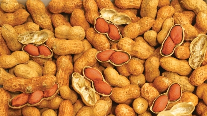 Jaboticabal avança nos preparativos da Feira Nacional do Amendoim