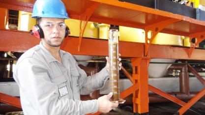 Melaço da cana-de-açúcar está melhorando a produtividade da fruticultura no Vale do São Francisco