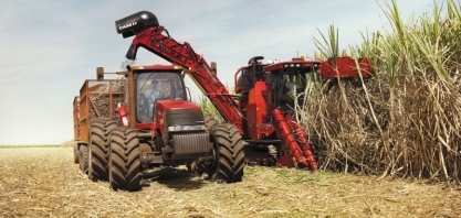 Cuidados com a colheita e realizar o corte no ponto certo da maturação da cana contribuem para aumento da ATR