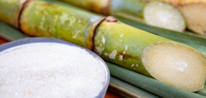 Austrália, Brasil e Guatemala unem forças na ação da OMC