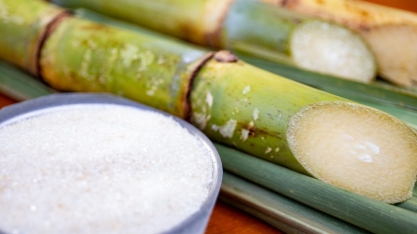 Austrália, Brasil e Guatemala unem forças na ação da OMC