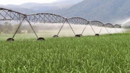 Irrigação com pivô central cresceu 47 vezes em 32 anos no Brasil