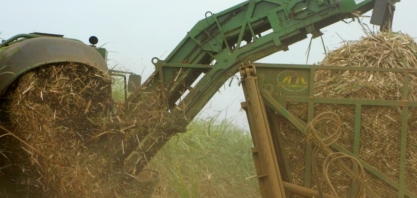 Como surfar na onda do RenovaBio a partir de 1º de janeiro de 2020 