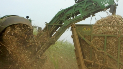 Como surfar na onda do RenovaBio a partir de 1º de janeiro de 2020 