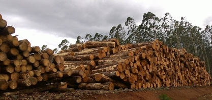 Grupo chinês vai investir R$ 7 bilhões em fábrica em São Paulo