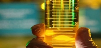 Biocombustíveis: Agricultura define critérios para Selo Combustível Social