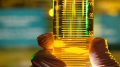 Biocombustíveis: Agricultura define critérios para Selo Combustível Social