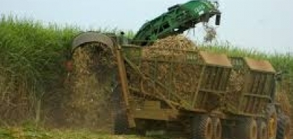 Valor Bruto da Produção Agropecuária crescerá 0,2% em 2019,para R$ 609,2 bi