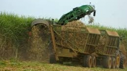 Valor Bruto da Produção Agropecuária crescerá 0,2% em 2019,para R$ 609,2 bi