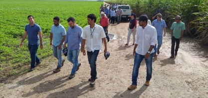 Plantio de grãos avança na Zona da Mata alagoana