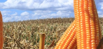 Ethanol Bioenergia reafirma investimentos em MT