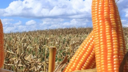 Ethanol Bioenergia reafirma investimentos em MT