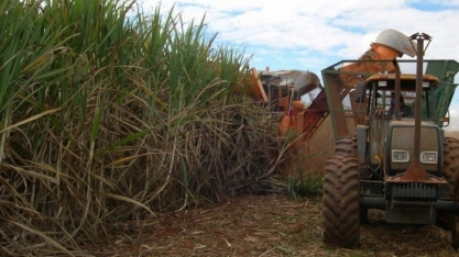 Boletim de monitoramento da cana | LNBR/CNPEM