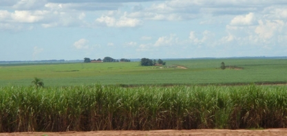 Safra 2019/20: moagem de cana chega a 216 mi de toneladas; ATR cai