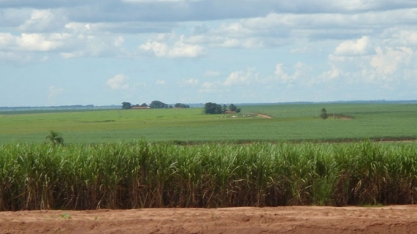 Safra 2019/20: moagem de cana chega a 216 mi de toneladas; ATR cai