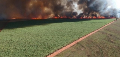 Incêndio destrói 840 hectares e usina é multada em R$ 953 mil pela PMA