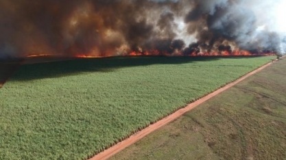 Incêndio destrói 840 hectares e usina é multada em R$ 953 mil pela PMA