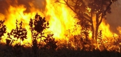 Conheça dicas para evitar os incêndios em plantações no inverno