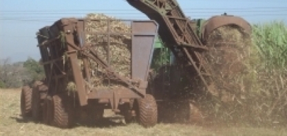 Faltam seis meses para o RenovaBio entrar em vigor, perspectivas para o setor sucroenergético