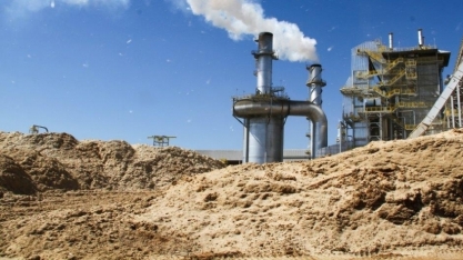 Potencial da biomassa movimenta cogeração de energia