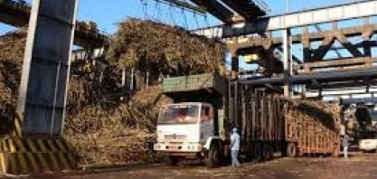 AÇÚCAR/ÍNDIA: Marex Spectron estima que exportação deve recuar na safra 2019/20