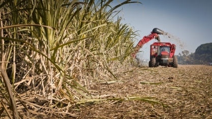Usina Santo Antonio deve iniciar safra alagoana 19/20 em agosto