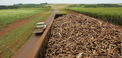 Bunge e BP se unem e vão disputar a vice-liderança em açúcar e álcool no País