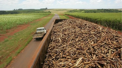 Bunge e BP se unem e vão disputar a vice-liderança em açúcar e álcool no País