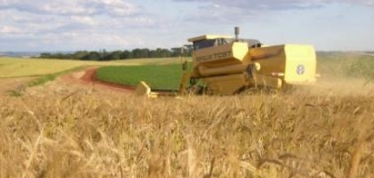 Conab: safra 2018/19 deve ser record de 240,65 mi de t, alta de 5,7% ante 2017/18 