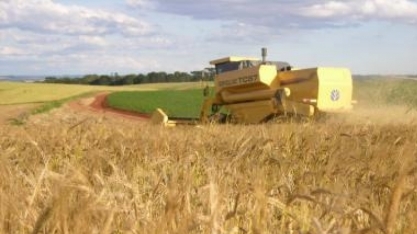 Conab: safra 2018/19 deve ser record de 240,65 mi de t, alta de 5,7% ante 2017/18 