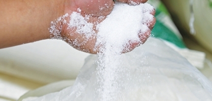 UE deve reduzir embarques de açúcar na temporada 2019/20