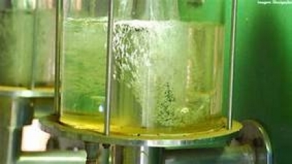 Como ficam as exportações de carnes, açúcar e etanol para a UE após acordo