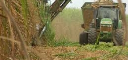 Agromensais Cepea de junho/19: açúcar/etanol