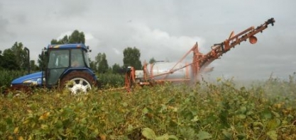 Anvisa encerra consulta sobre glifosato com dados favoráveis ao produto, mas com precauções