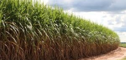 Custos de produção versus valor de ATR, por Agroanalysis/FGV