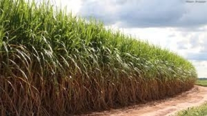 Custos de produção versus valor de ATR, por Agroanalysis/FGV