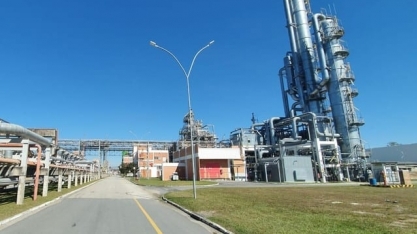 Basf vai ampliar produção de metilato para biodiesel