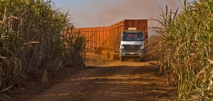 Safra: alta na produção de etanol e queda expressiva na fabricação de açúcar