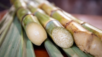 Açúcar: Alta forçada