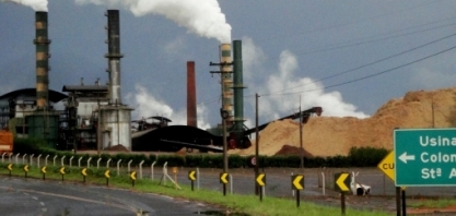 Usina Colombo lucrou R$ 194 milhões na safra 2018/19, aumento de 93%