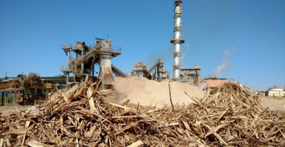 A partir do curso, as usinas terão capacitação para geração de mapas de remoção de palha de acordo com suas condições agronômicas, climáticas e operacionais. Foto: CTBE/Daniel Duft