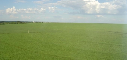 ATR PR: valor projetado sobe 0,31% em junho