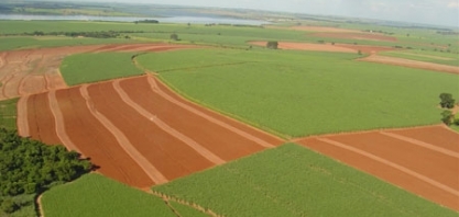Em dez anos, área plantada será ampliada em 10,3 milhões de hectares no Brasil