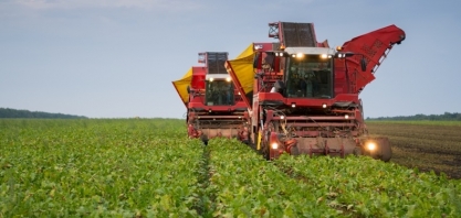 Cresce produção de açúcar na Rússia
