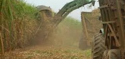 Índice de produção agroindustrial da FGV disparou em maio