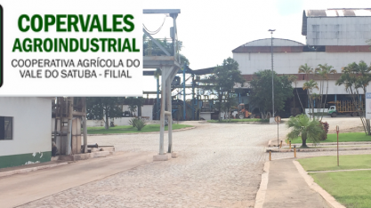 Usina em Alagoas, reaberta por produtores de cana, oferece vagas de emprego para 49 funções