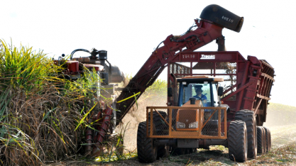 Técnicos da Conab visitam usinas de SP para atualizar dados da safra de cana